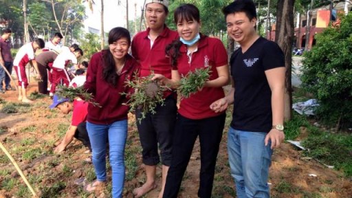 Toàn thể CBCNV, giảng viên DNTU tham gia trồng cây, trồng cỏ